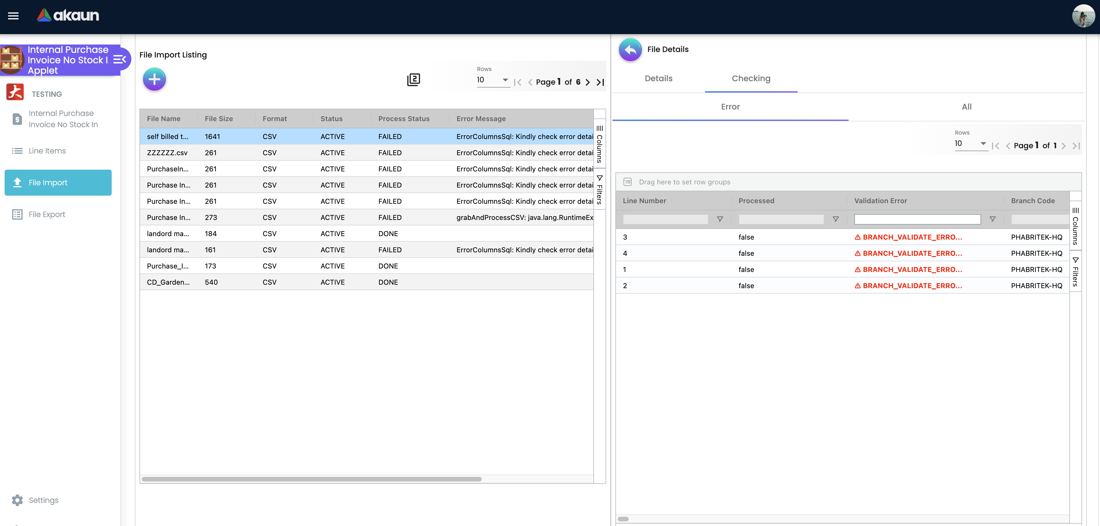 File Import - Checking Tab