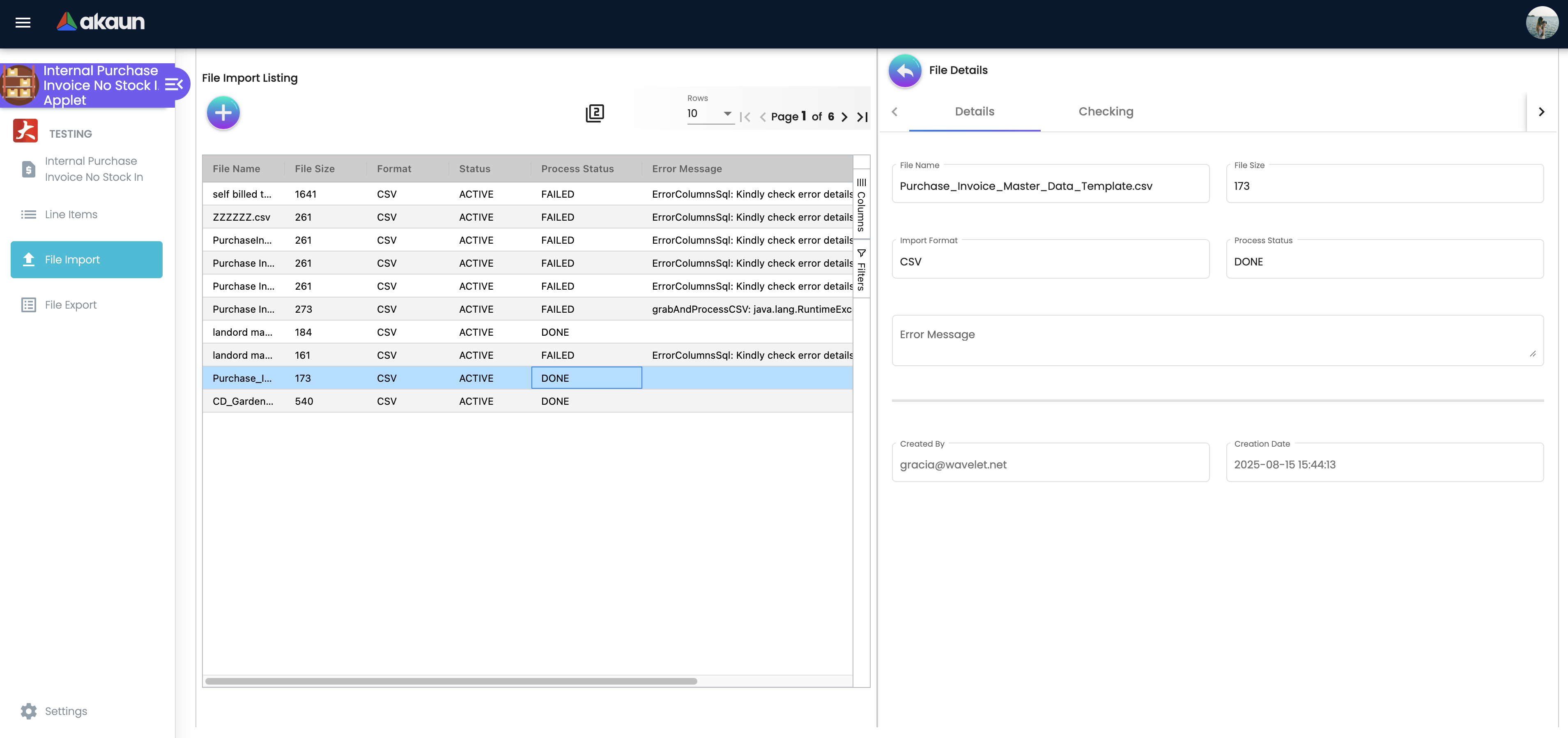 File Import - Details Tab