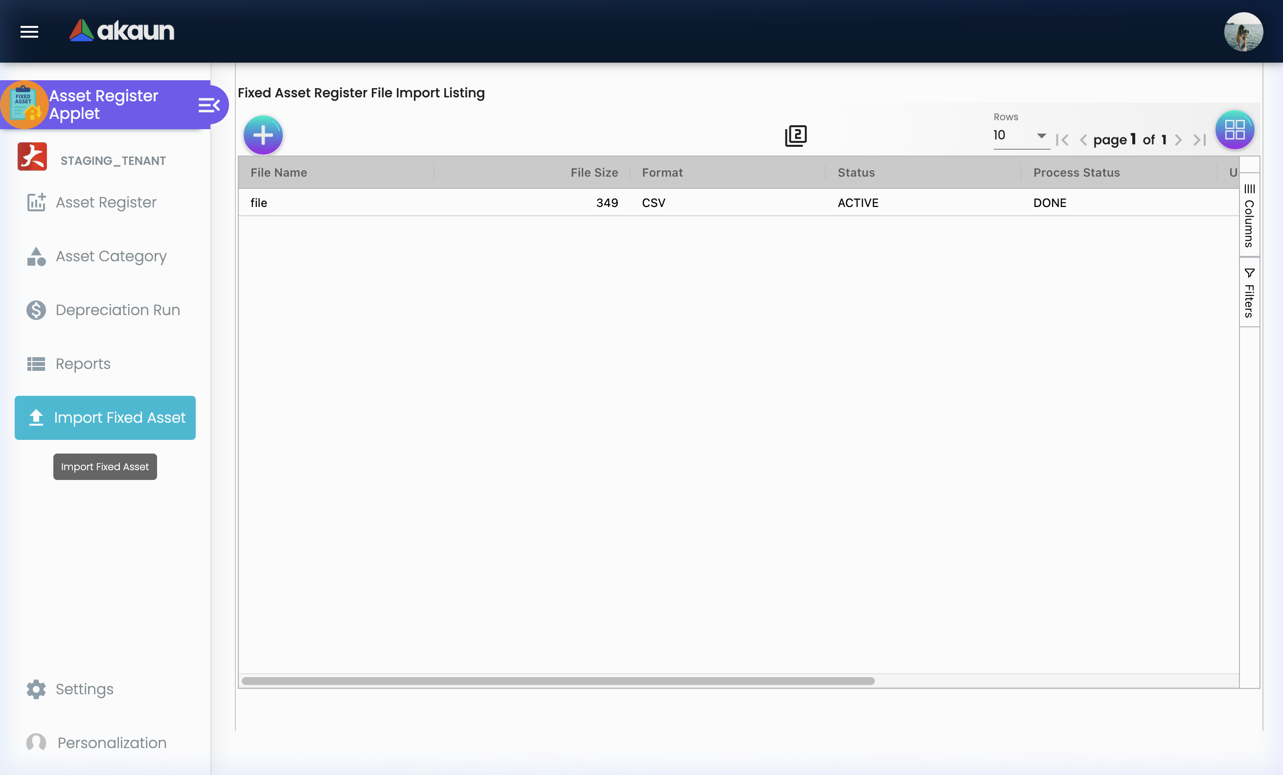 File Import Screen for bulk updating or uploading assets