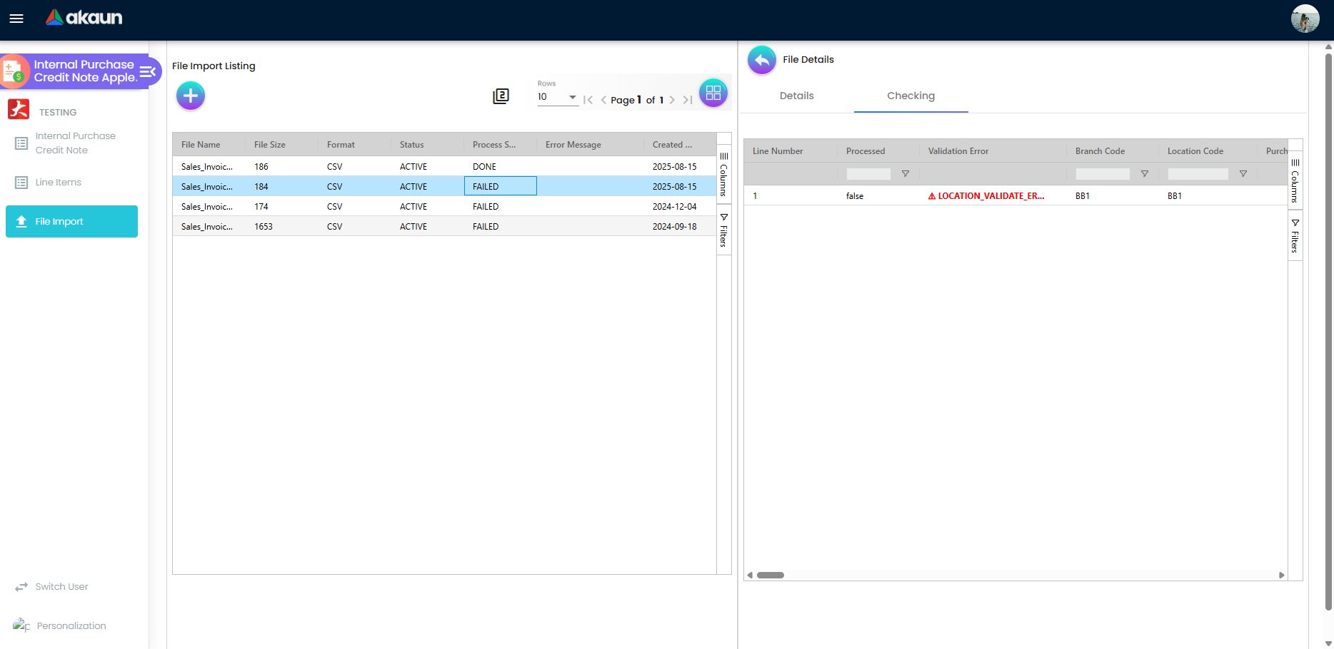 File Details Checking tab with Processed and Validation Error columns