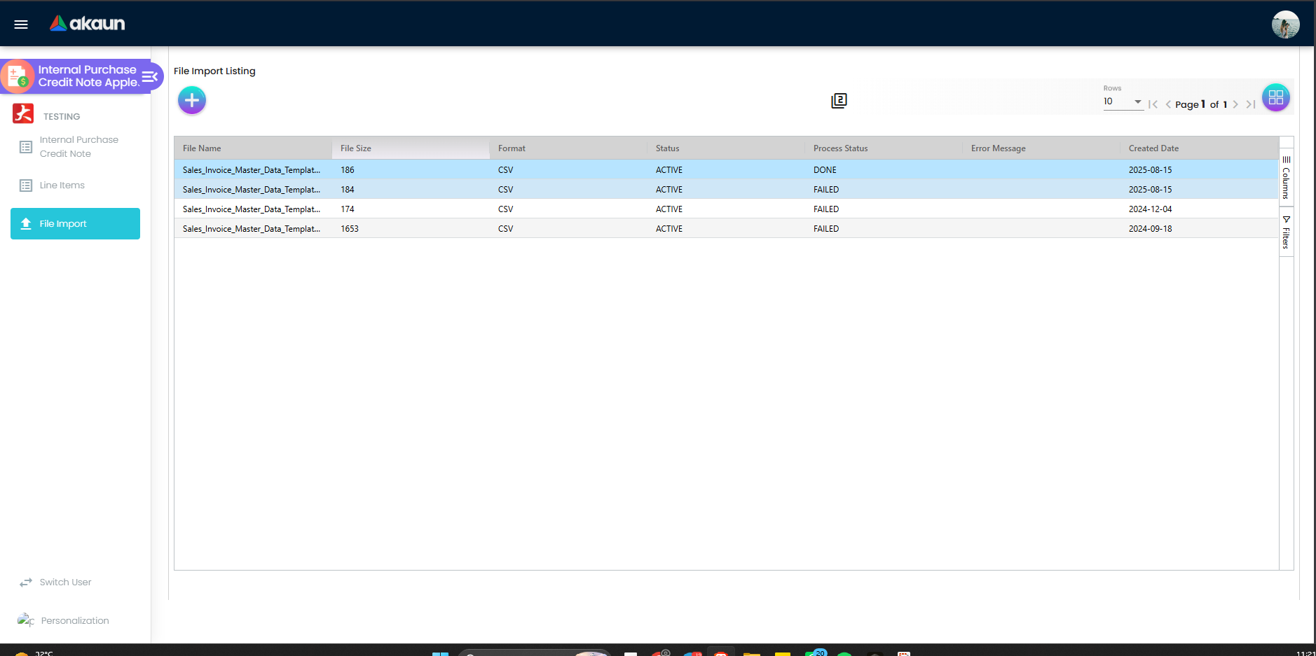 File Import listing showing Process Status and Error Message columns