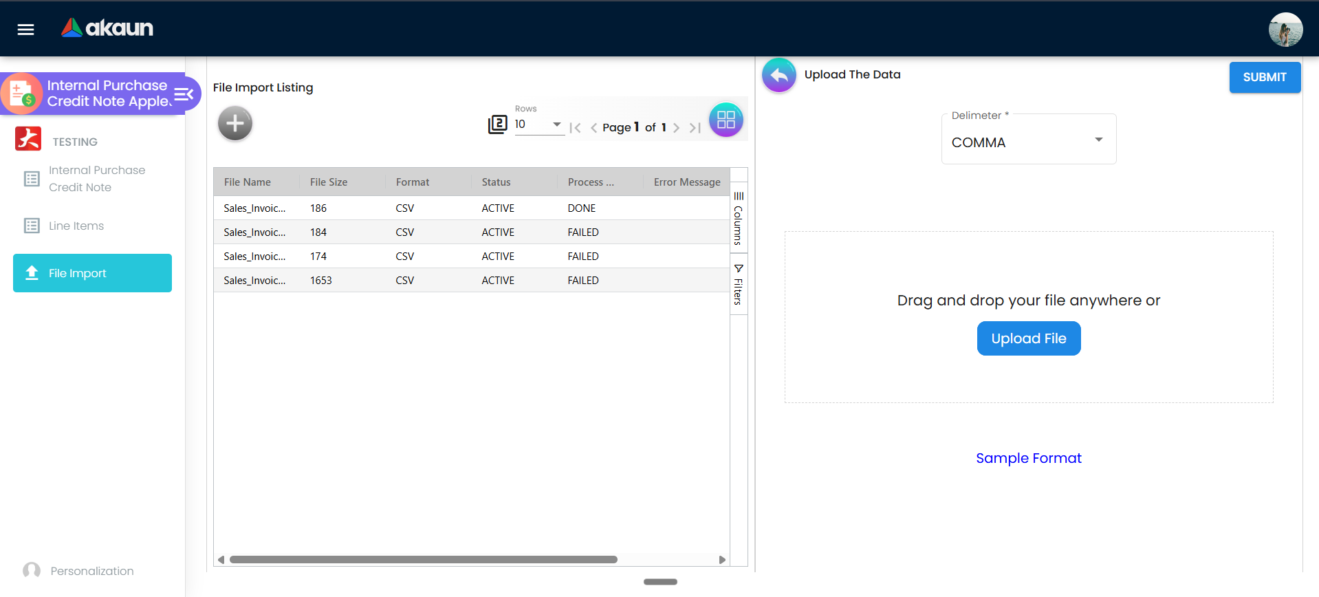 File Import upload screen titled Upload The Data with Delimeter, file upload area, Sample Format, and SUBMIT