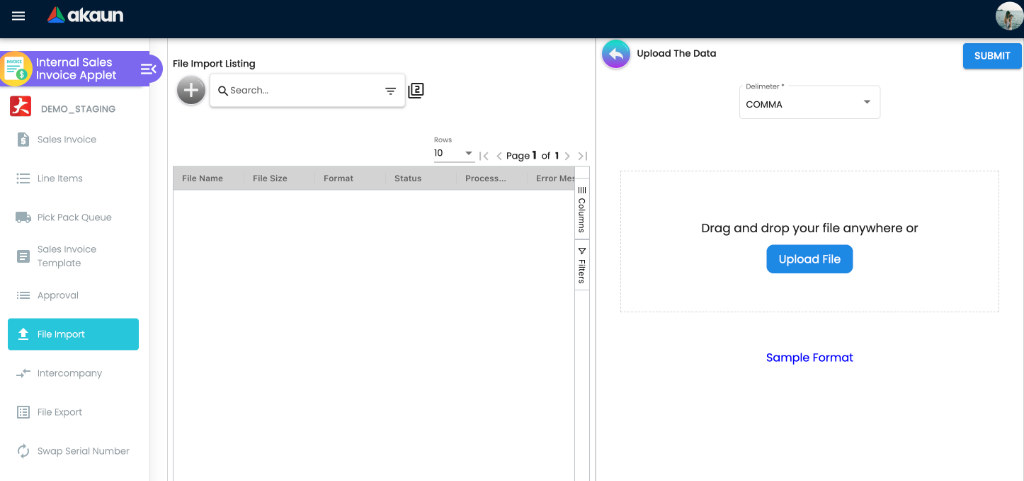 File Import Interface