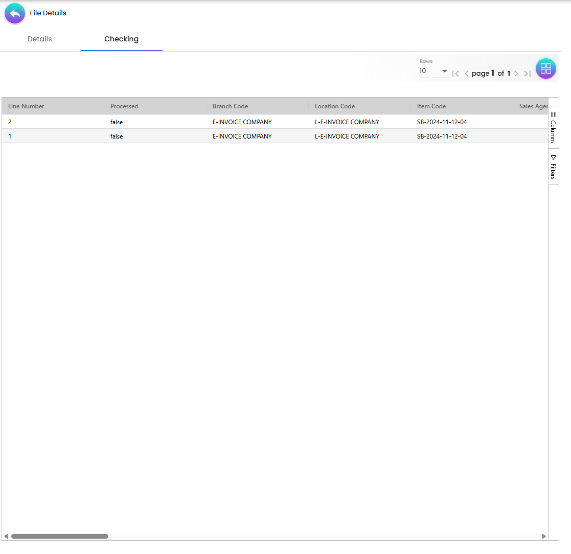 Import Checking Sub-tab - line-by-line validation results