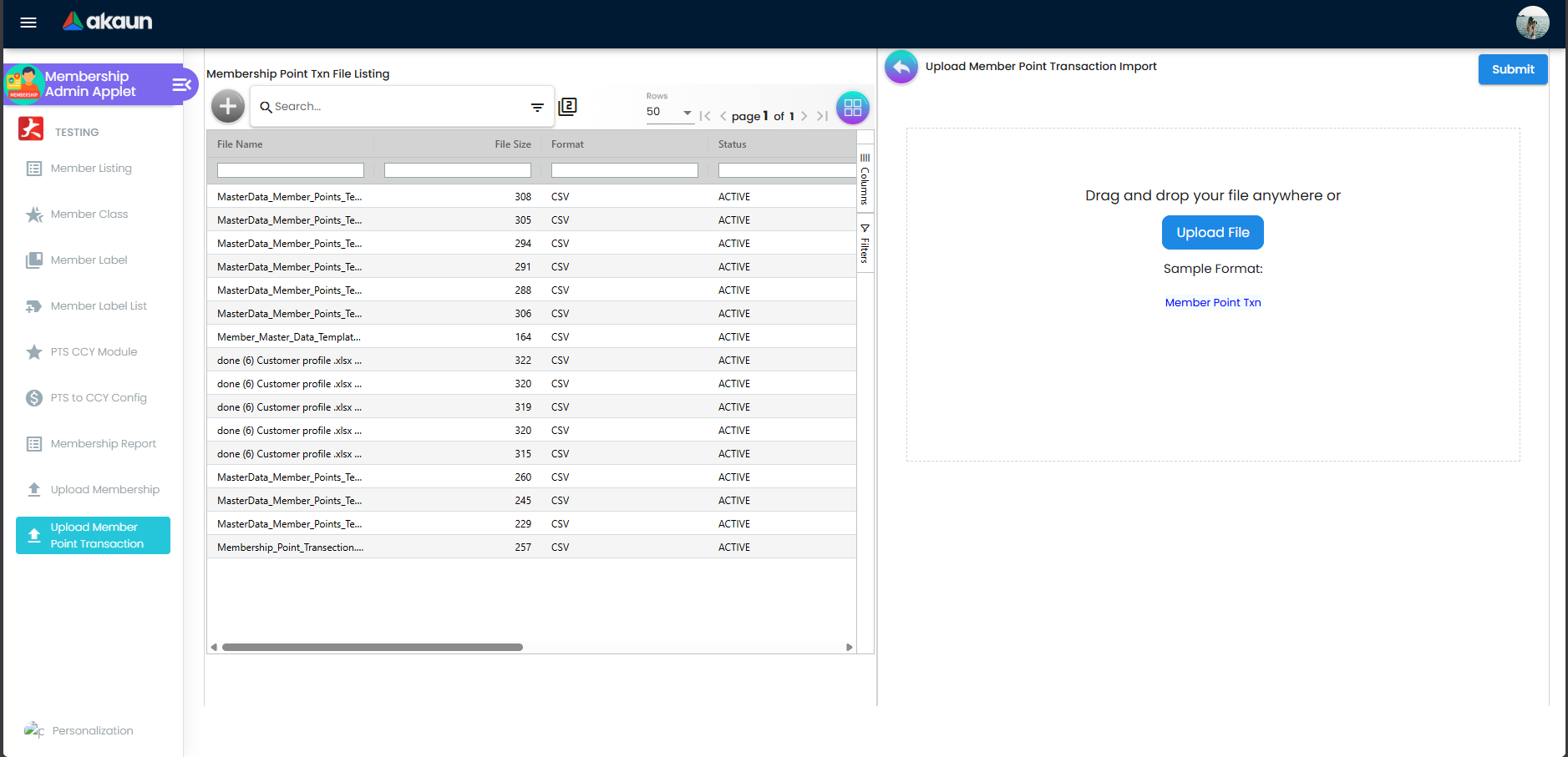 Upload Member Point Transaction Import with Member Point Txn sample format, Upload File, and Submit