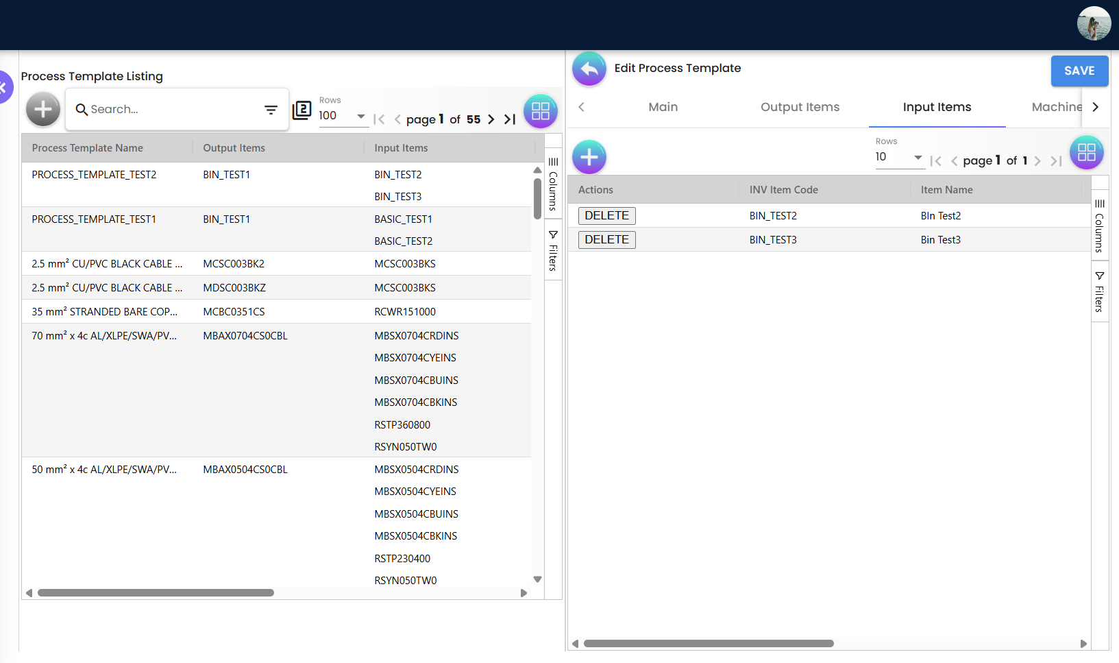 Process Template Input Items