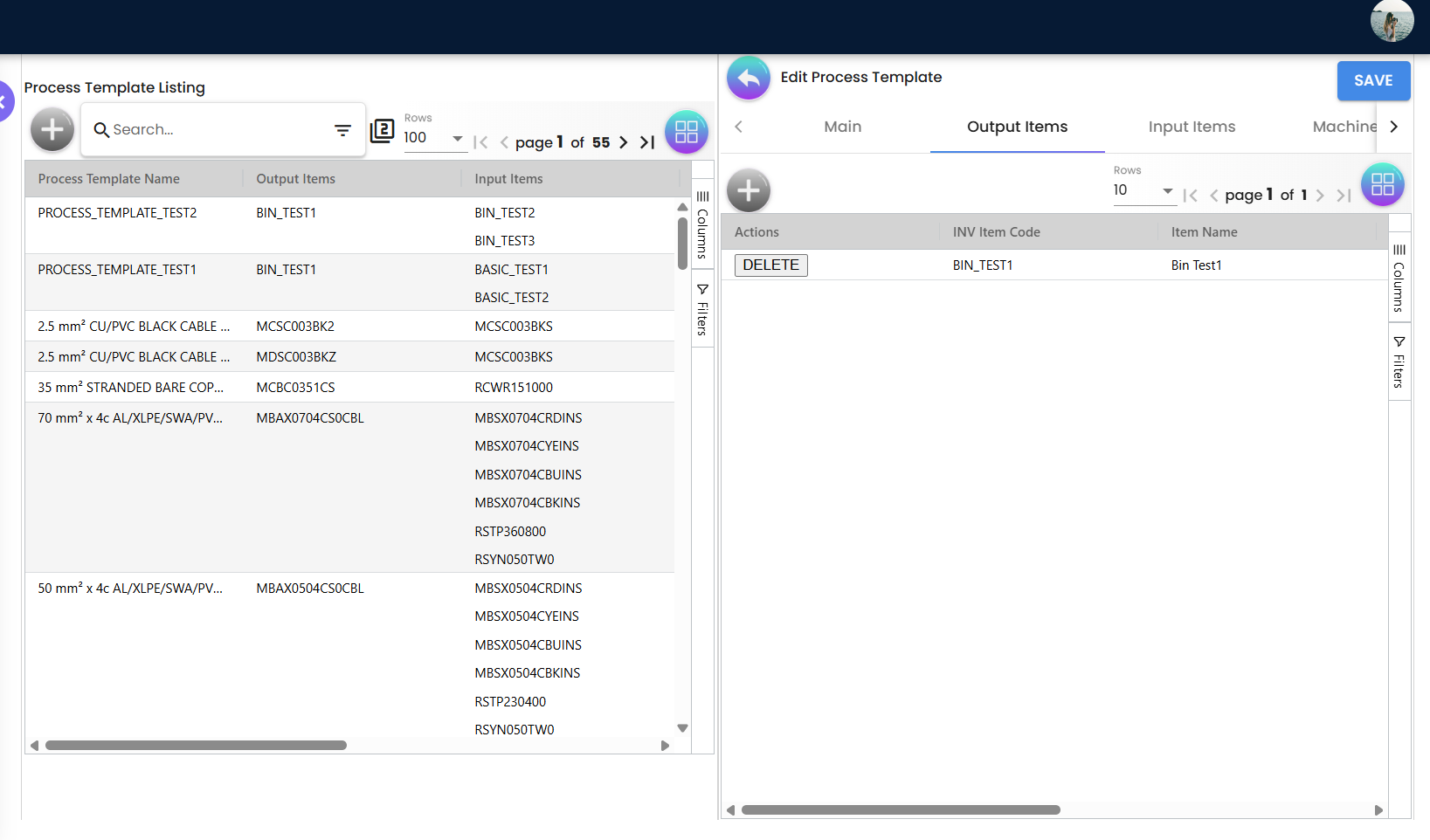 Process Template Output Items