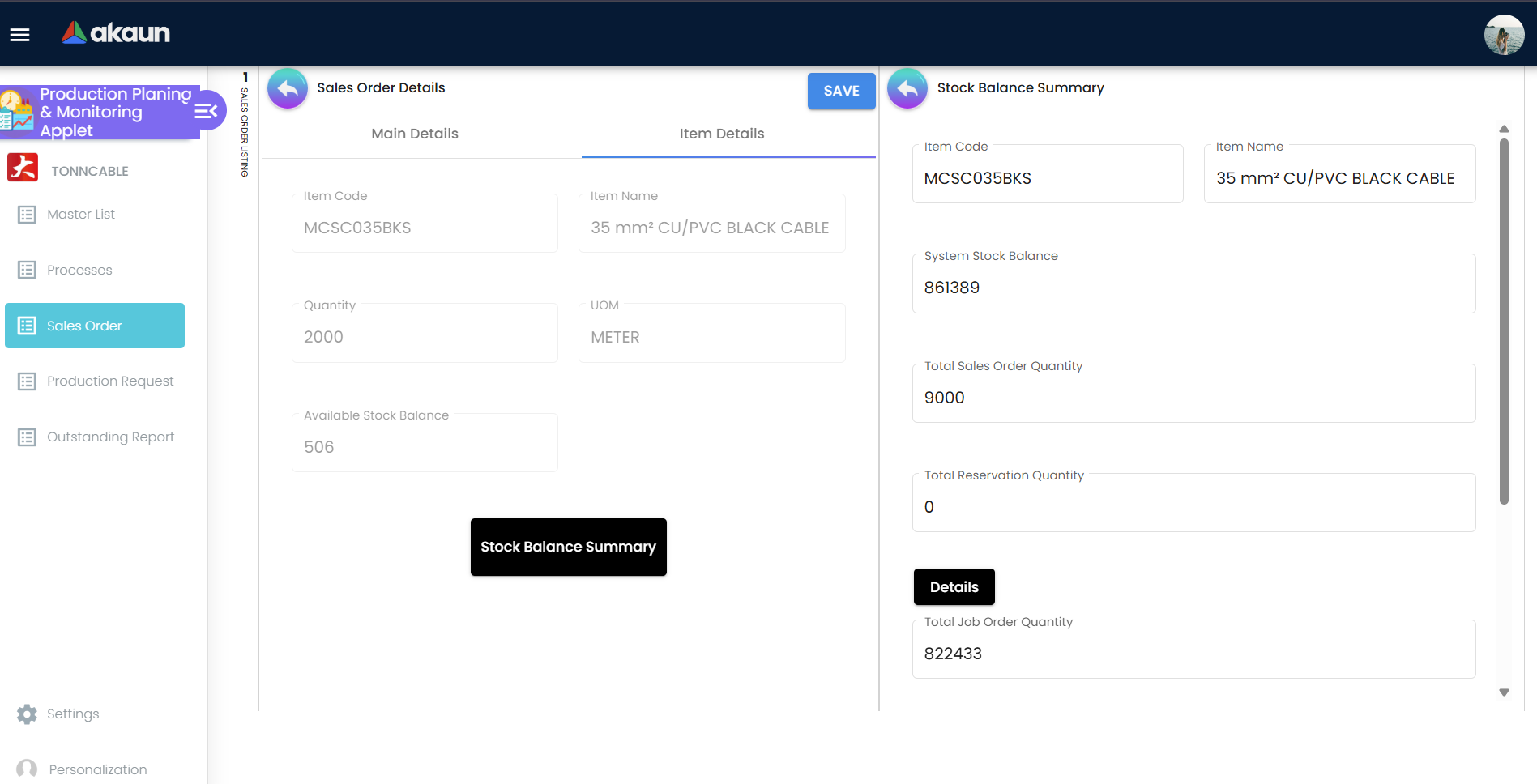 Stock Balance Summary