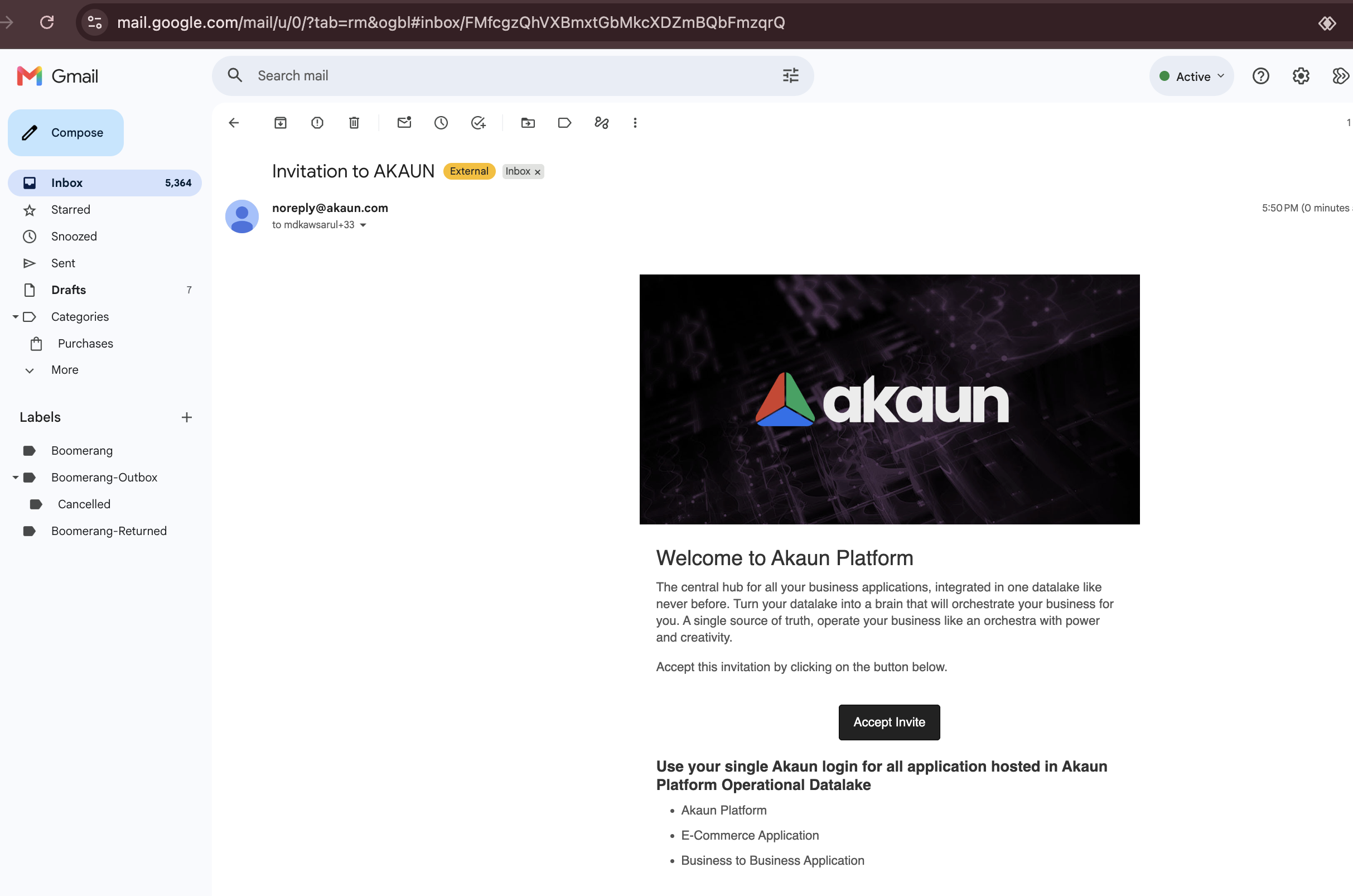 Invitation Email
